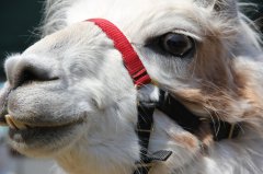 k-IMG_7857.jpg